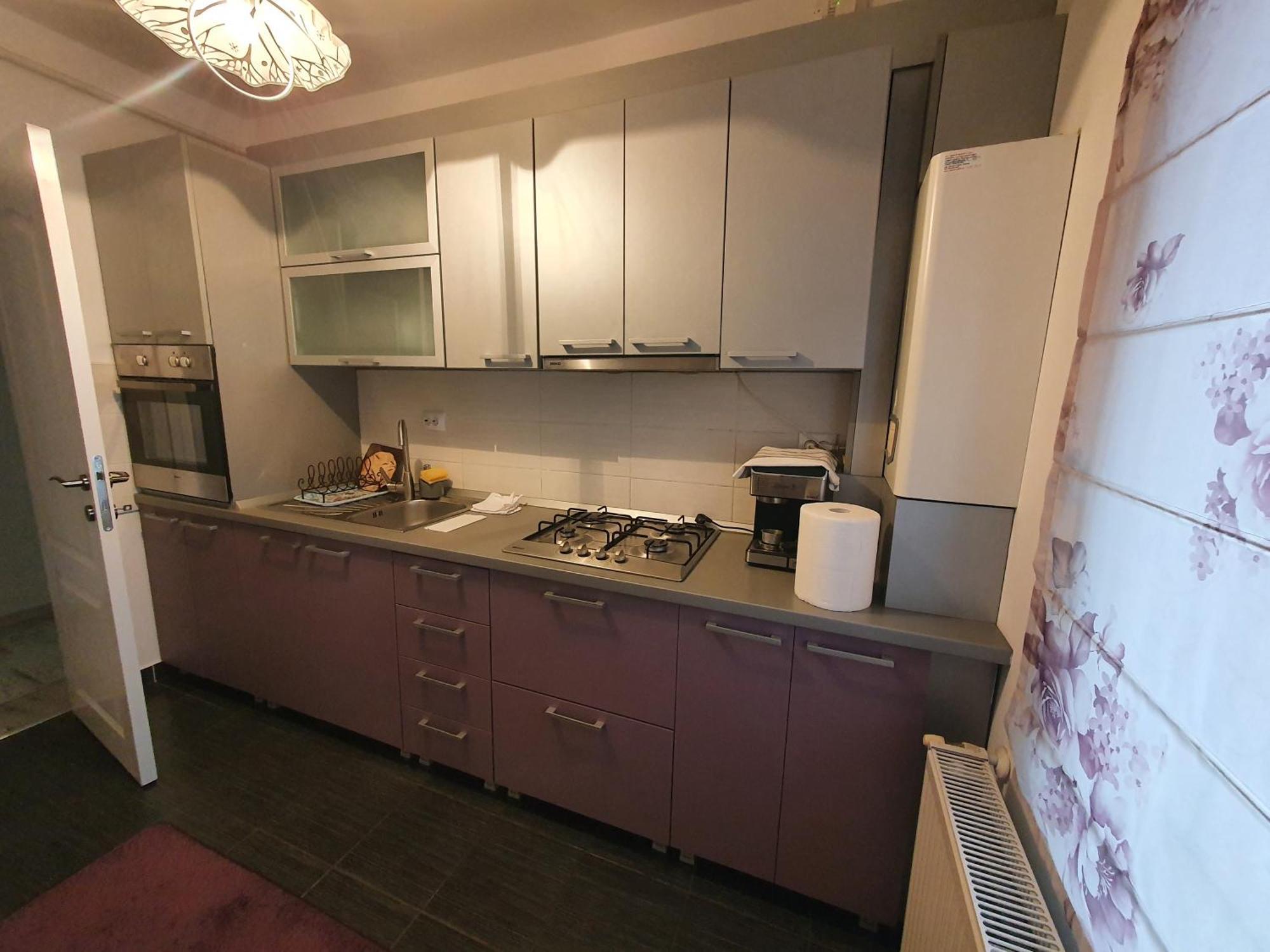 Suceava Apartment Экстерьер фото